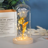 Eternal Rose LED Glass Lamp