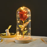 Eternal Rose LED Glass Lamp